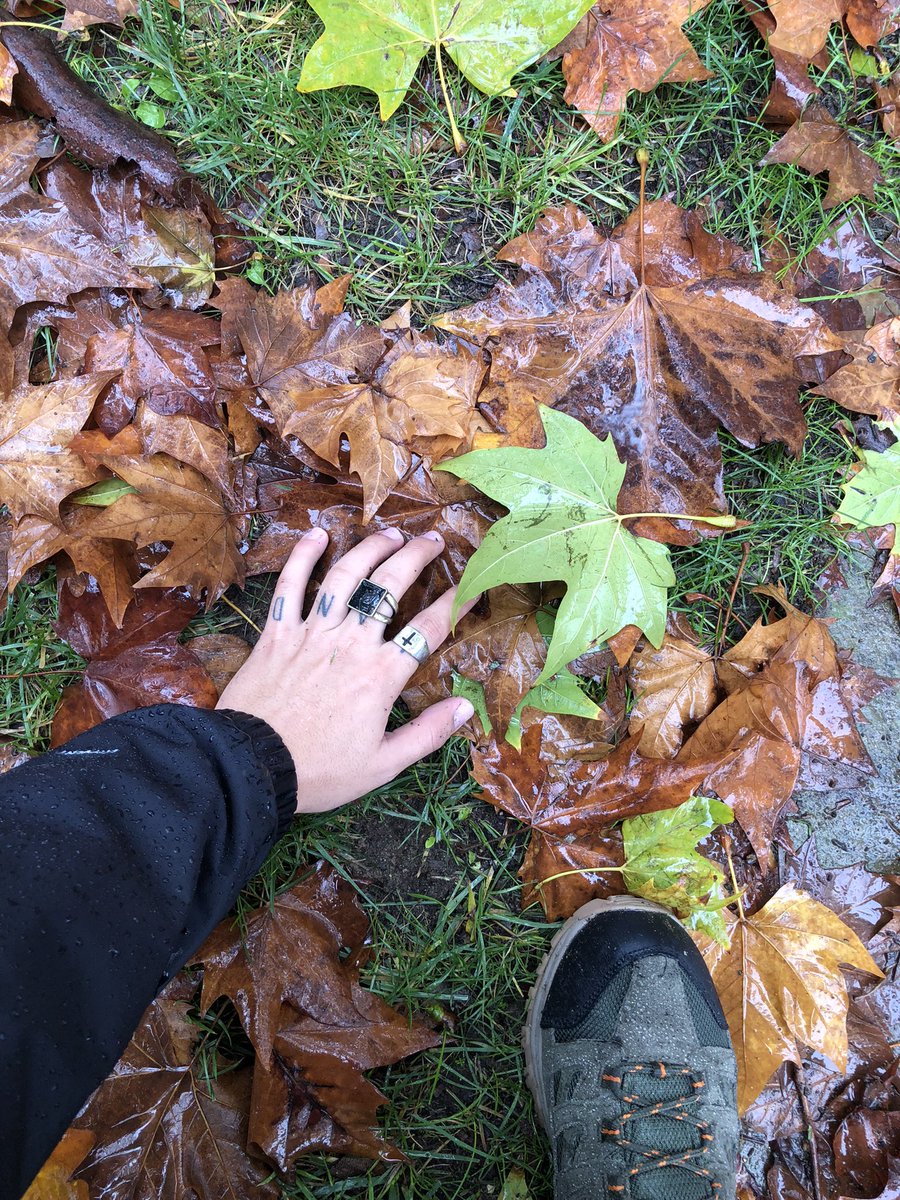 iGuillermo_'s tweet photo. 🍁🍂 https://t.co/omx22WXb0G