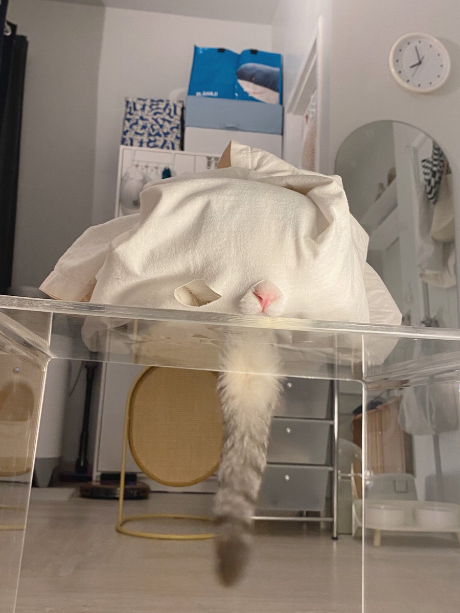 jiewliewnjiggo's tweet image. มิชชั่นเฟล