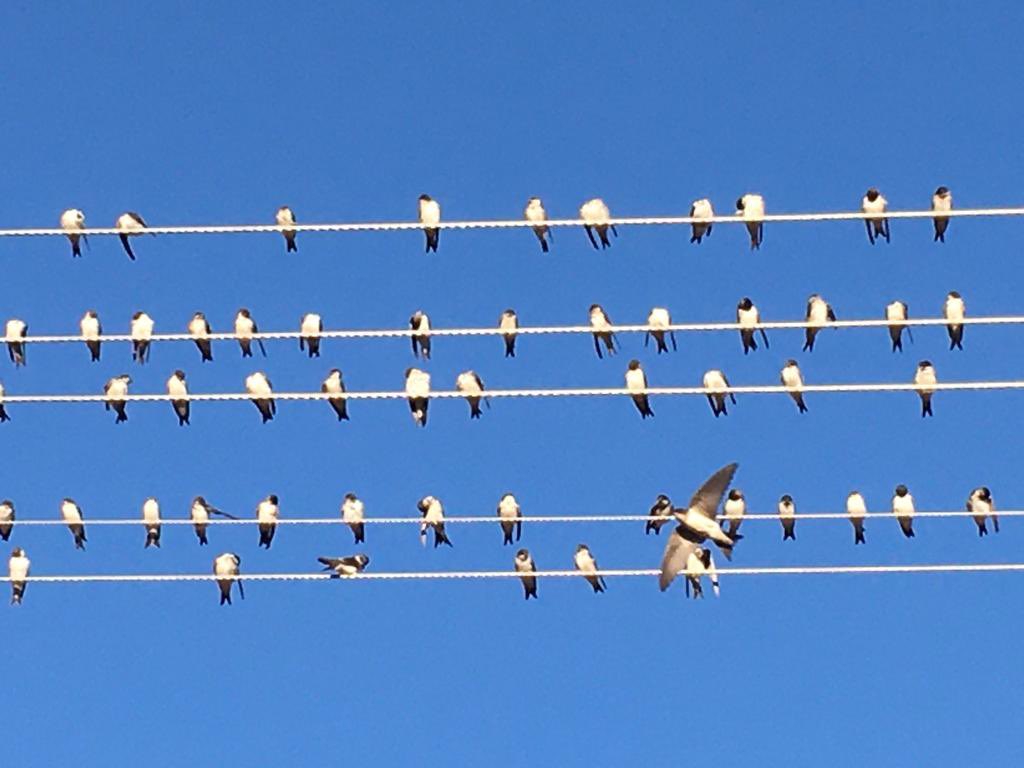 DorukGONEN's tweet photo. ☀️ https://t.co/AAeQjN3tDz
