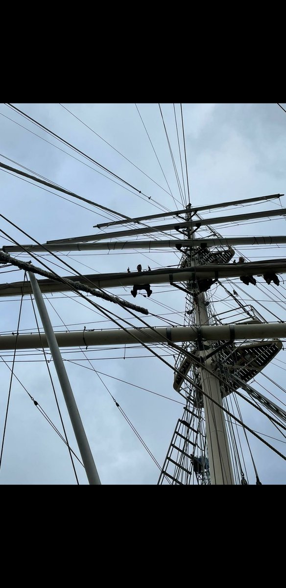 URNUBirmingham's tweet photo. Throughout the week, 2 of our OC's joined cadets from other URNUs as well as Cambridge UOTC on a voyage with the 'tall ship' SV Tenacious. This was a great opportunity for OCs to find their sea legs in a more challenging environment.
@JubileeSailing #URNU #SVTenacious https://t.co/ylAY8GO1Pf