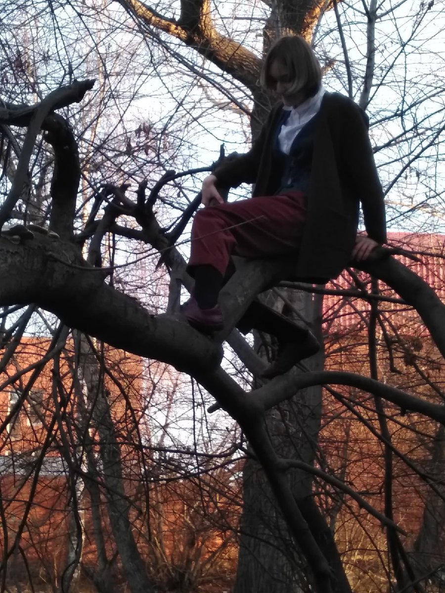 murpha_s's tweet photo. can't ignore a tree https://t.co/uULRjaS1Nt