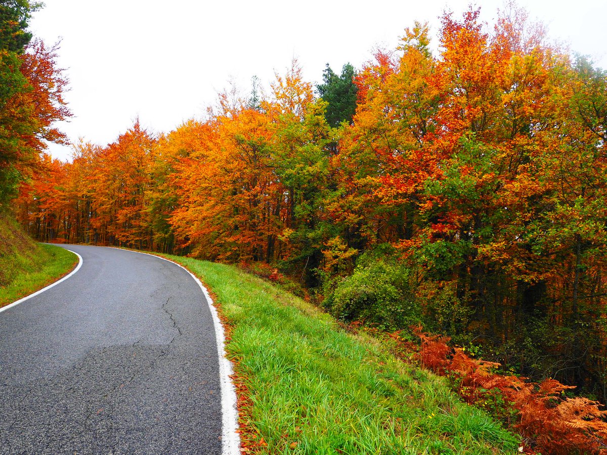 Noainmeteo's tweet photo. He aprovechado la mañana de este domingo 31 de octubre para dar un paseo por el monte #Muskilda a escasos kms de #Ochagavia #ValleDeSalazar #PirineoNavarro, tiempo ideal para caminar, poco viento y temperatura rondando los 13/14 grados.
Os dejo algunas fotos https://t.co/z73tusvD6J