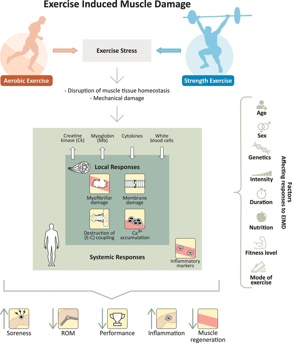 Physio Meets Science tweet media