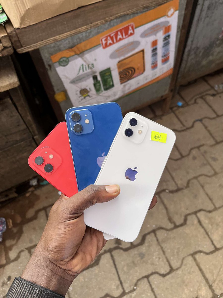 fly_applecare's tweet photo. iPhone 12 64 and 128gb semi and unlocked  

Call/whatsapp:0507736975/0593916397 https://t.co/jAkgVk30W2