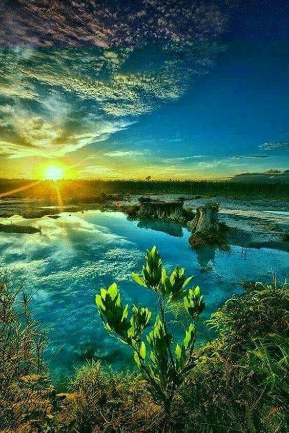 غابوا عن العينِ و الأيامُ تُشغلُهم
أمّا عن القلبِ؟! لا واللهِ ما غابوا

نعم تمادوا ببُعدٍ باتَ يُحرقني
لكنّهم رغم هذا البُعدِ أحبابُ..!❣️