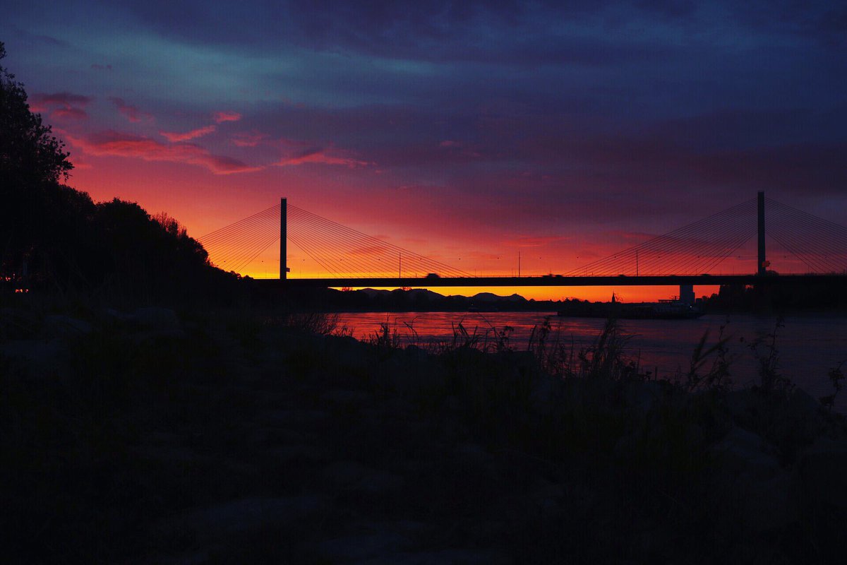 Sonnenaufgang am Rhein bei Bonn. #sunrise #river #rhein #bonn #bridge #october #impressionism