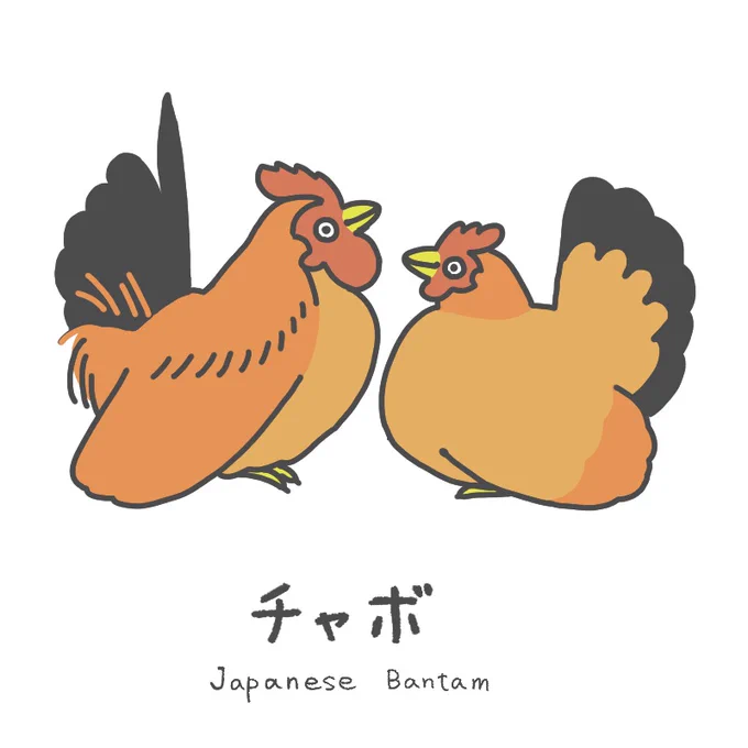鳥イラスト 