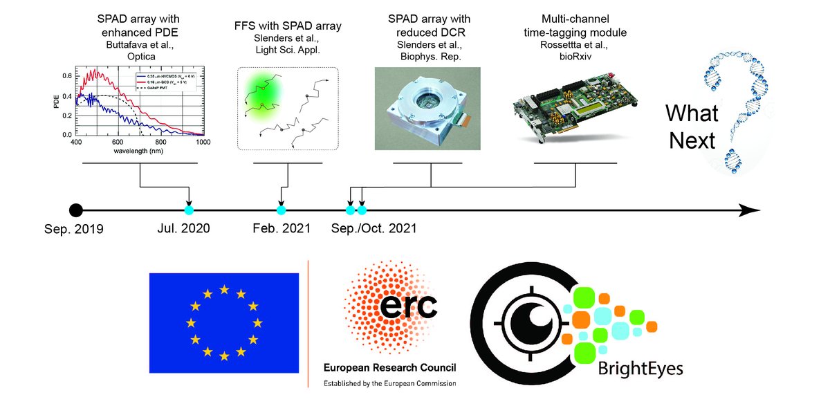 The cards are on the table, and more will come! We are hiring for the next steps of our <a href="/ERC_Research/">European Research Council (ERC)</a> project <a href="/IITalk/">IIT</a>. Please RT.  
vicidominilab.github.io/positions/
#BrightEyes_ERC #singlemolecule #superresolution #microscopy #postdoc #SPAD_FFS