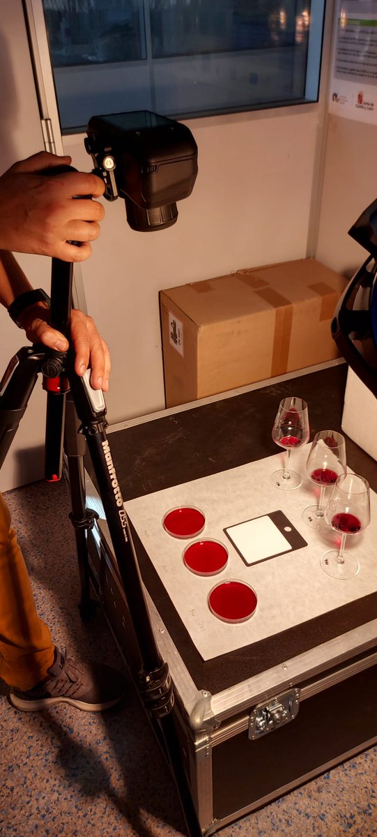 ITACYL's tweet photo. Cata de #vinos elaborados por el área de #viticultura de #ITACyL para determinar el efecto de distintas cargas de cosecha, como estrés biótico y sus implicaciones en la incidencia de #EFMV o la calidad del mosto, en el marco del proyecto #FEADER @visostec https://t.co/xWLFDoHFcI