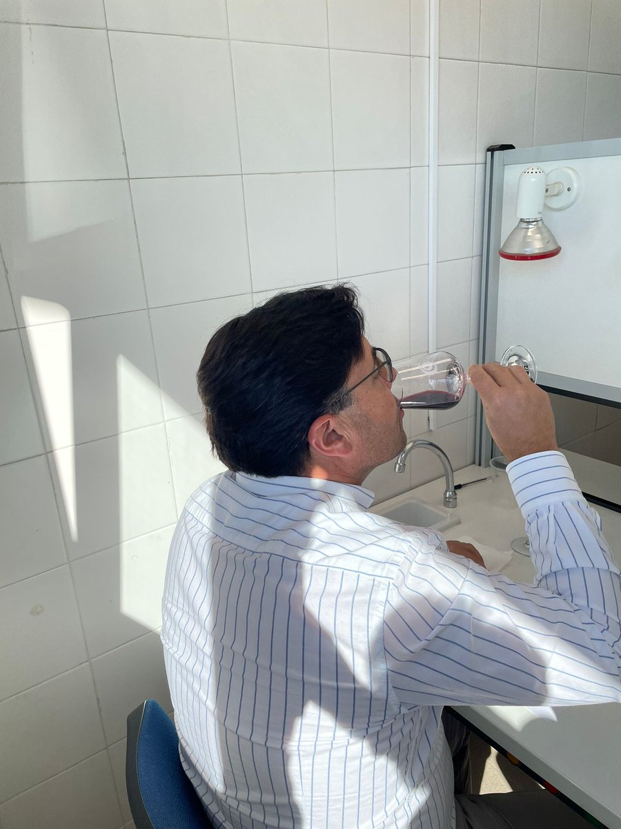 ITACYL's tweet photo. Cata de #vinos elaborados por el área de #viticultura de #ITACyL para determinar el efecto de distintas cargas de cosecha, como estrés biótico y sus implicaciones en la incidencia de #EFMV o la calidad del mosto, en el marco del proyecto #FEADER @visostec https://t.co/xWLFDoHFcI