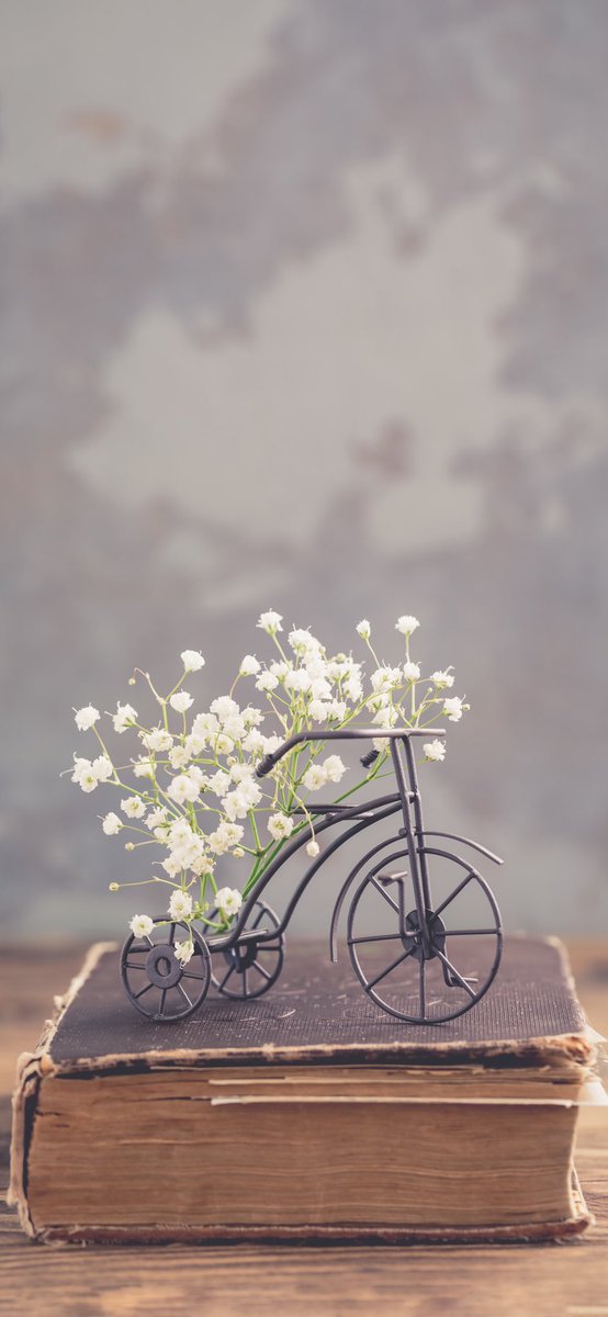Wallpapers_xx's tweet photo. https://t.co/ljLnRktXGp