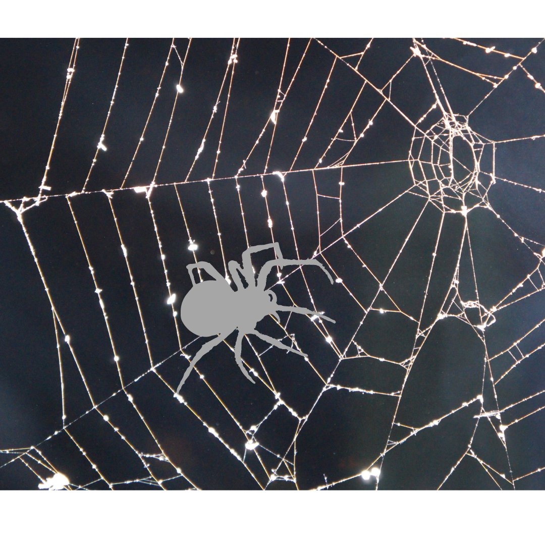 Have a SAFE and Happy Halloween!
*remember Monday is PJ Day*