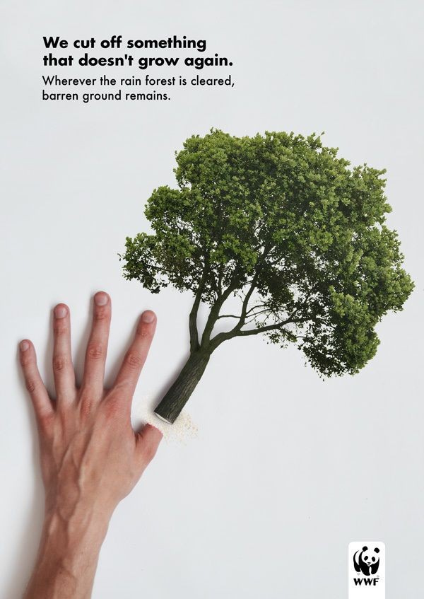 voicetopeople's tweet image. Our future is in our hand please don&apos;t cut it..

#KnowledgeForNature