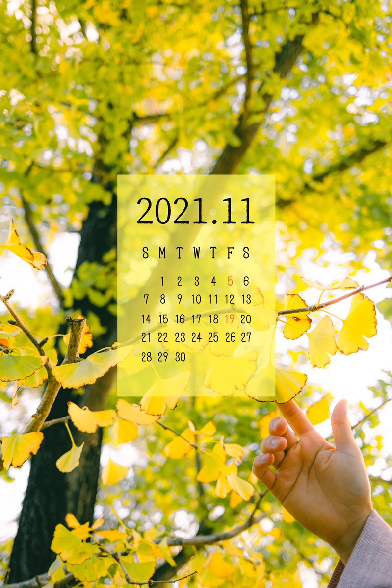 برچسب フリー待ち受け در توییتر