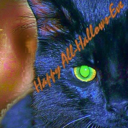 LayyerZero_Labs's tweet photo. Earl Thomas @ Halloween...R.I.P. ET ~ 11/08/2014
#Halloween2021 #EarlThomas #ET #HalloweenCat #Blackcat #Caturday https://t.co/bmzuFaU0e5