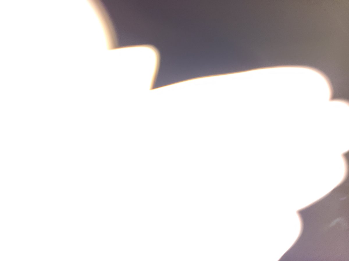 Andy Rich tweet media