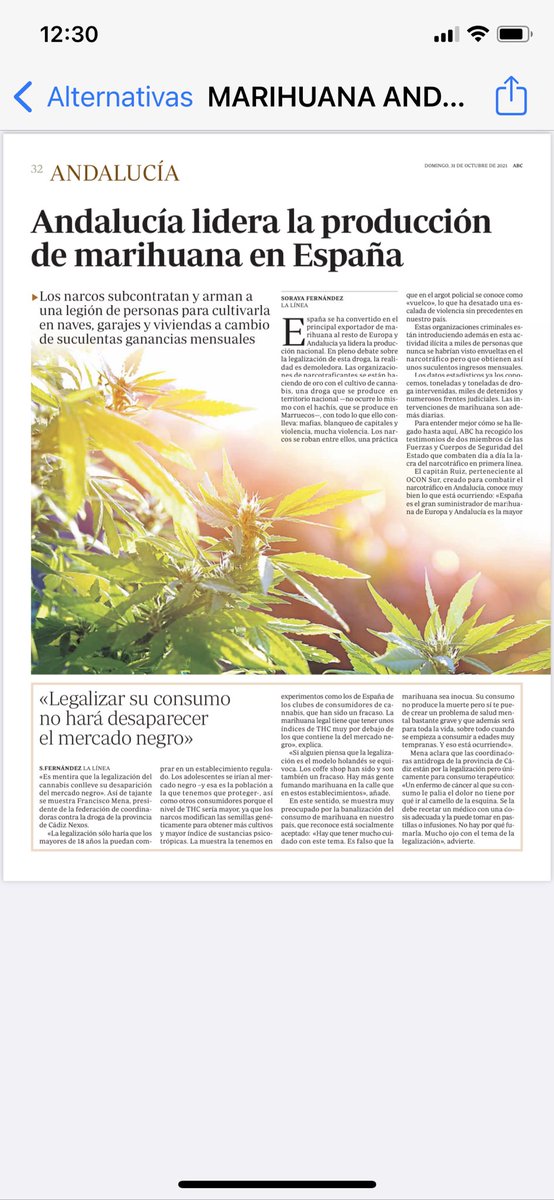 La legalizacion no hara desaparecer el mercado ilicito del hachis, que pregunten en Holanda@