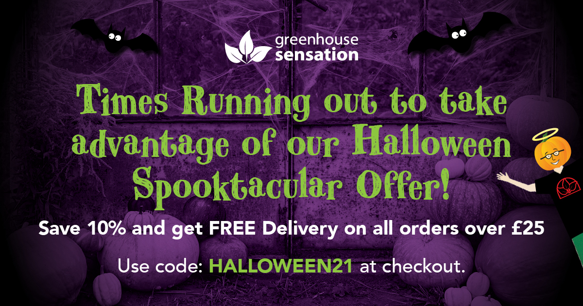 Times Running out to take advantage of our Halloween Spooktacular Offer
Save 10% and get FREE Delivery on all orders over £25. 
But act fast, you only have until midnight tonight.

Use code HALLOWEEN21 at checkout.
bit.ly/2MLjoAn