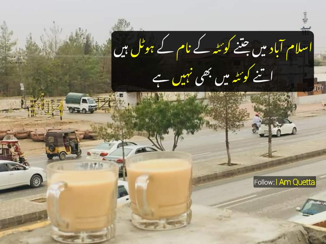 The Witness tweet media