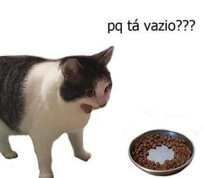 mariilustra's tweet photo. Meus gatos são tudo assim. https://t.co/ysva4KAlMw