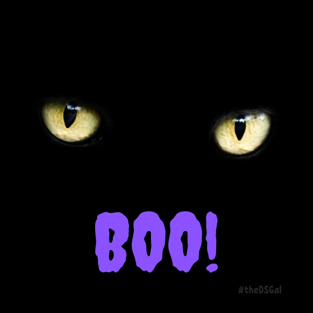 theDSGal's tweet photo. Have a SPOOKTACULAR Halloween!! ๐๐ป๐๐ธ๏ธ๐ท๏ธ
#Boo #halloween #happyhalloween #trickortreat #familytime #staysafe #home #Lisashomesweethome #smile #bekind #beagoodneighbor #LisaAnnadmin #LisaAnnvirtualassistant #jewelryaddict #jewelry #bling #Iselljewelry #theDSGal https://t.co/bBmiZZSPuE