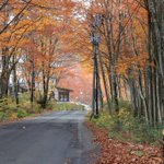 葉山安曇のツイート画像