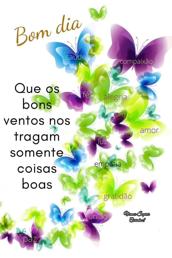 Valdira de Holanda on Twitter: Valdira de Holanda on Twitter: