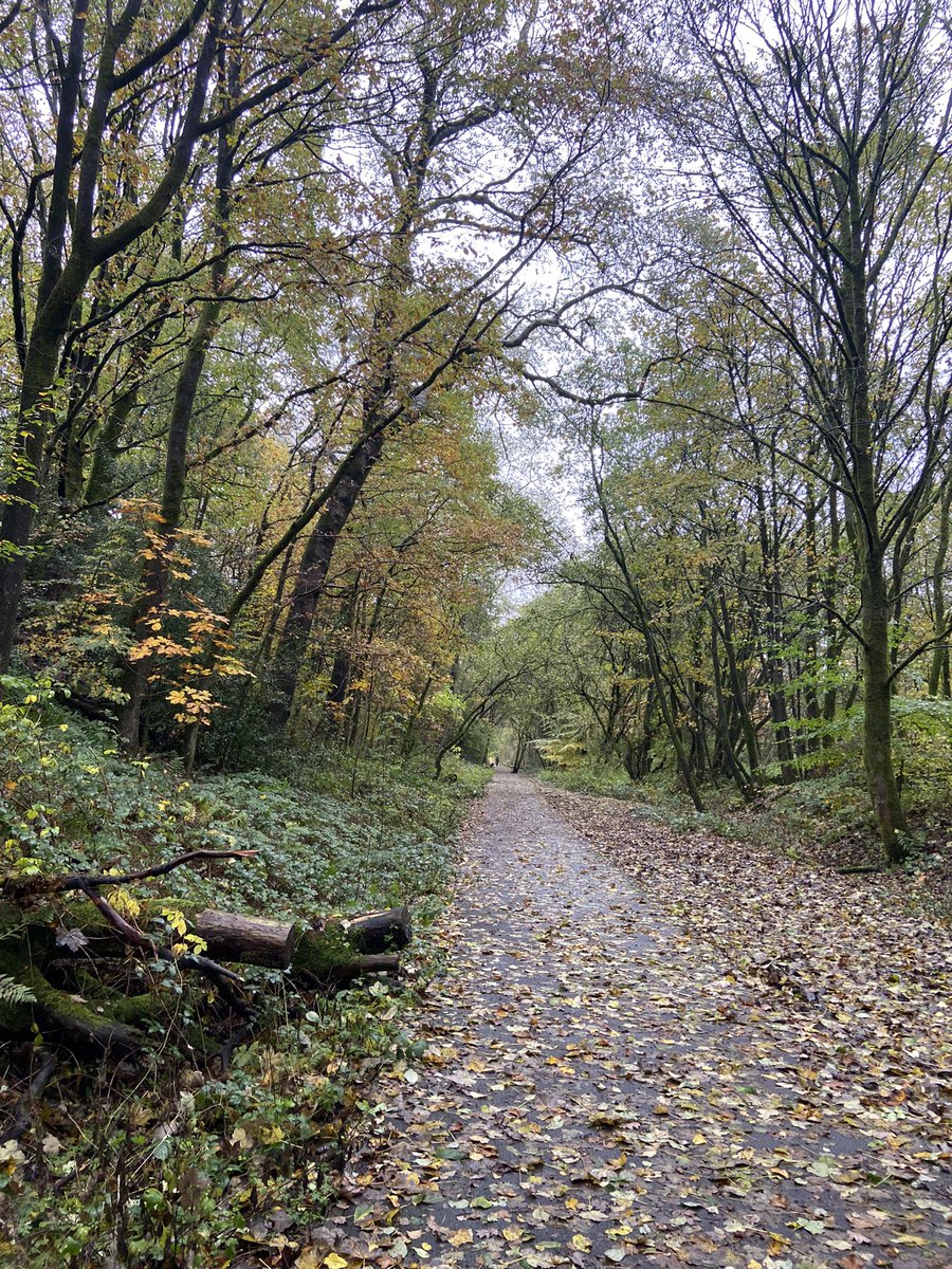 mrsberby's tweet photo. A break in the rain made for a beautiful autumnal run this morning 🍂☔️🏃🏼‍♀️ https://t.co/eGhTa82gV7