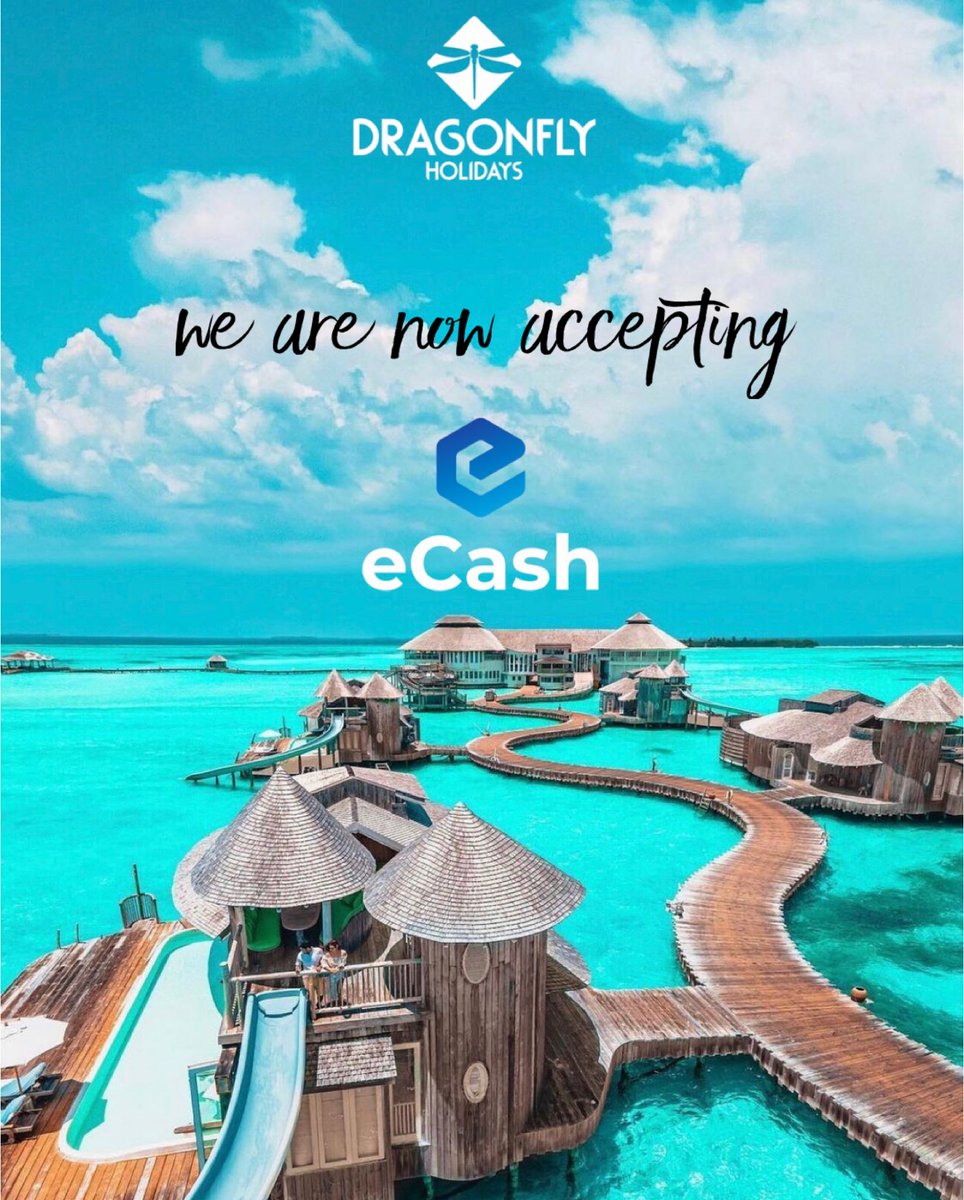 Dragonfly Holidays tweet media