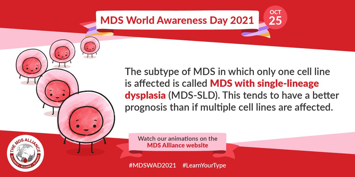 MDSAlliance's tweet photo. If you're a patient with #MDS, it's really important to #LearnYourType. For #MDSWorldAwarenessDay, we launched 7 new animations to help! 🙌
MDS with single-lineage dysplasia (MDS-SLD) is a subtype of MDS in which 1 cell line is affected. Watch here: https://t.co/hewjahLISP https://t.co/6NjqSIF6RO