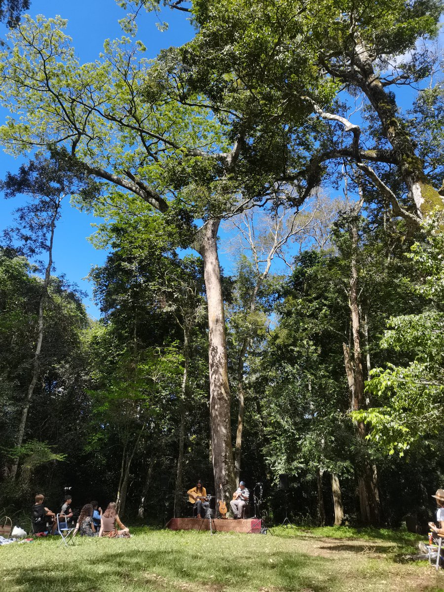 joswalker's tweet photo. A little live music goes a long way to making life feel a little more normal #musicintheforest https://t.co/QBpUjH5MHT