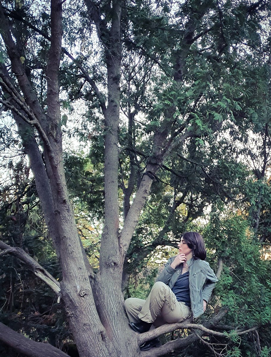 siwylejek's tweet photo. Yesterday I had the opportunity to climb the trees a bit as befits a real Scoia'tael 🐿🏹😎

#ciaran #ciaranaepeasnillien #scoiatael #thewitcher #tw2 #modernau #instantcosplay https://t.co/Z0X7EHHvcJ