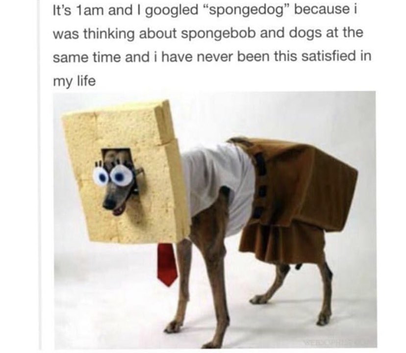 WholesomeMemes On Twitter 