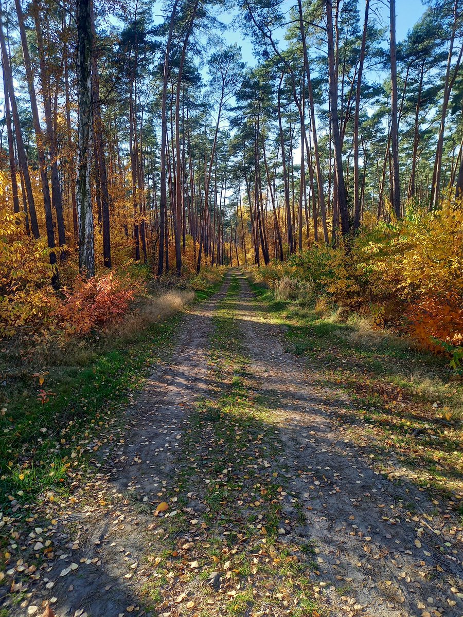 torz_marcin's tweet photo. Coś pięknego https://t.co/9MQQvh8qS3