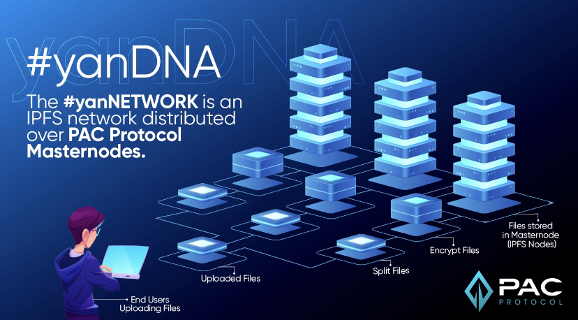 TimMeie54379343's tweet photo. @krakenfx $PAC 💞
$Yan 💞
#yanDNA is bringing real security to your data.
#yanNetwork https://t.co/nNL4ezP4rC