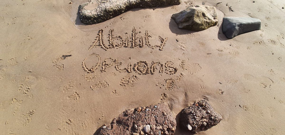 AbilityOptions's tweet image. #supportedholidays