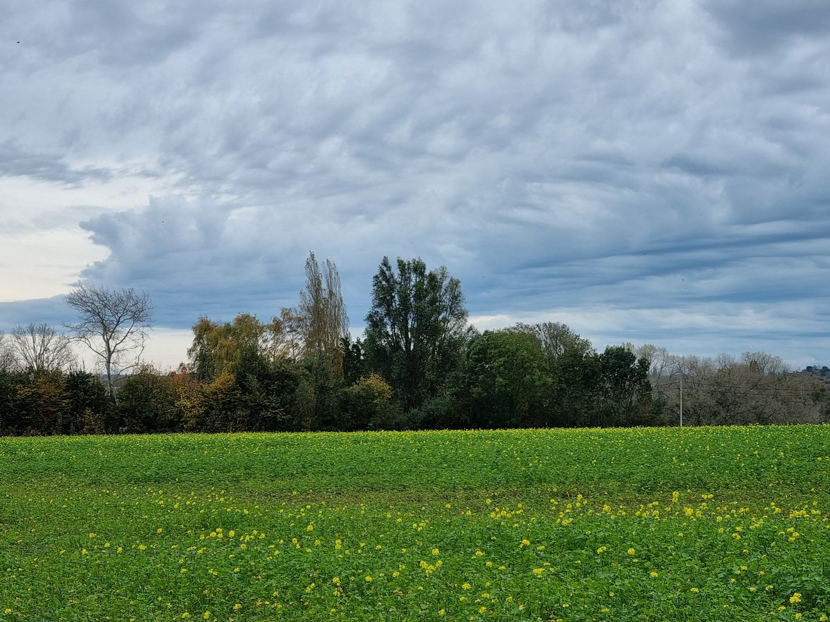 grietdr's tweet photo. #vrtweer #Zegelsem 14°C , 13:30 uur https://t.co/eZpAeTZBXF
