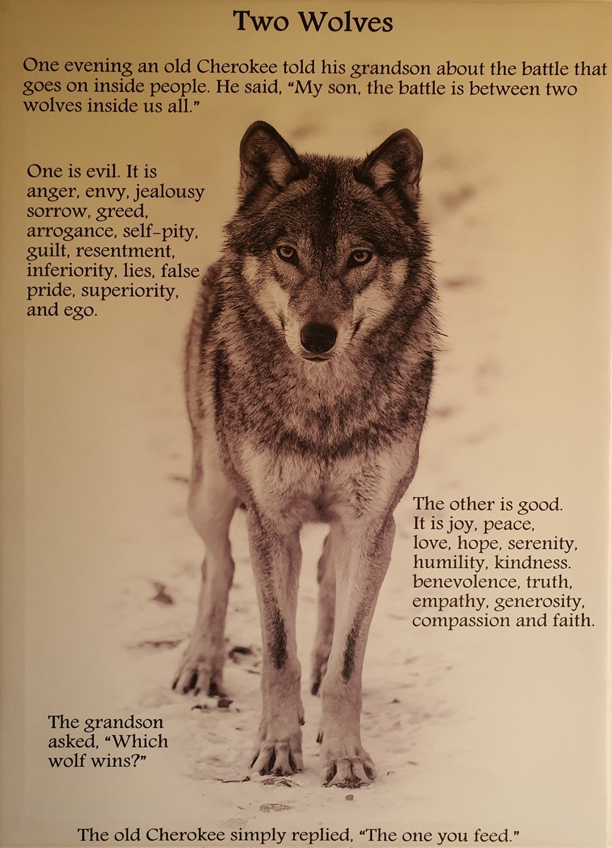 FlorinMisca's tweet photo. Two Wolves | #Cherokeewisdom https://t.co/jQFrzL3BxR