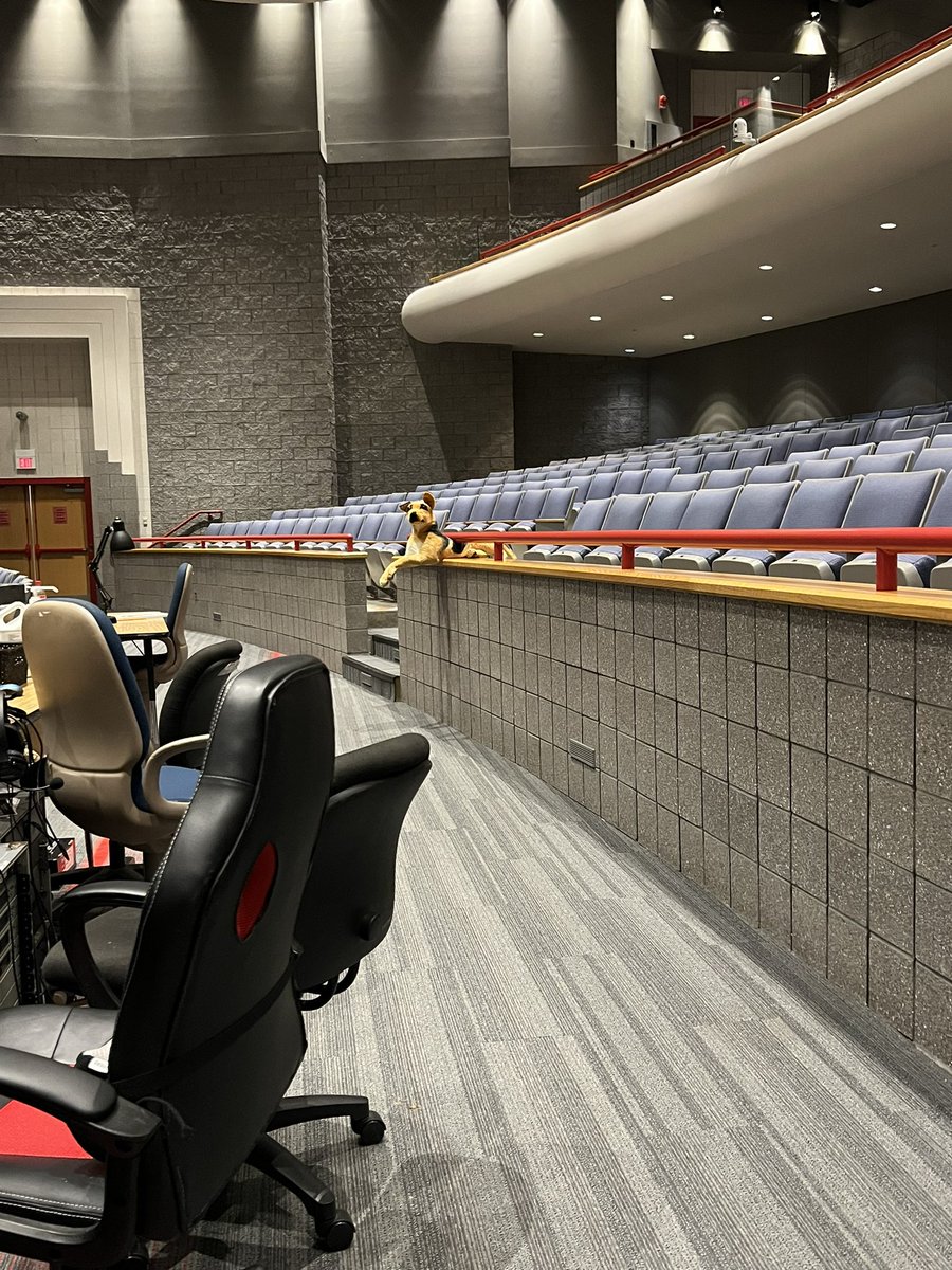 Came in to do a little set painting and was startled to see Wellington guarding the place.