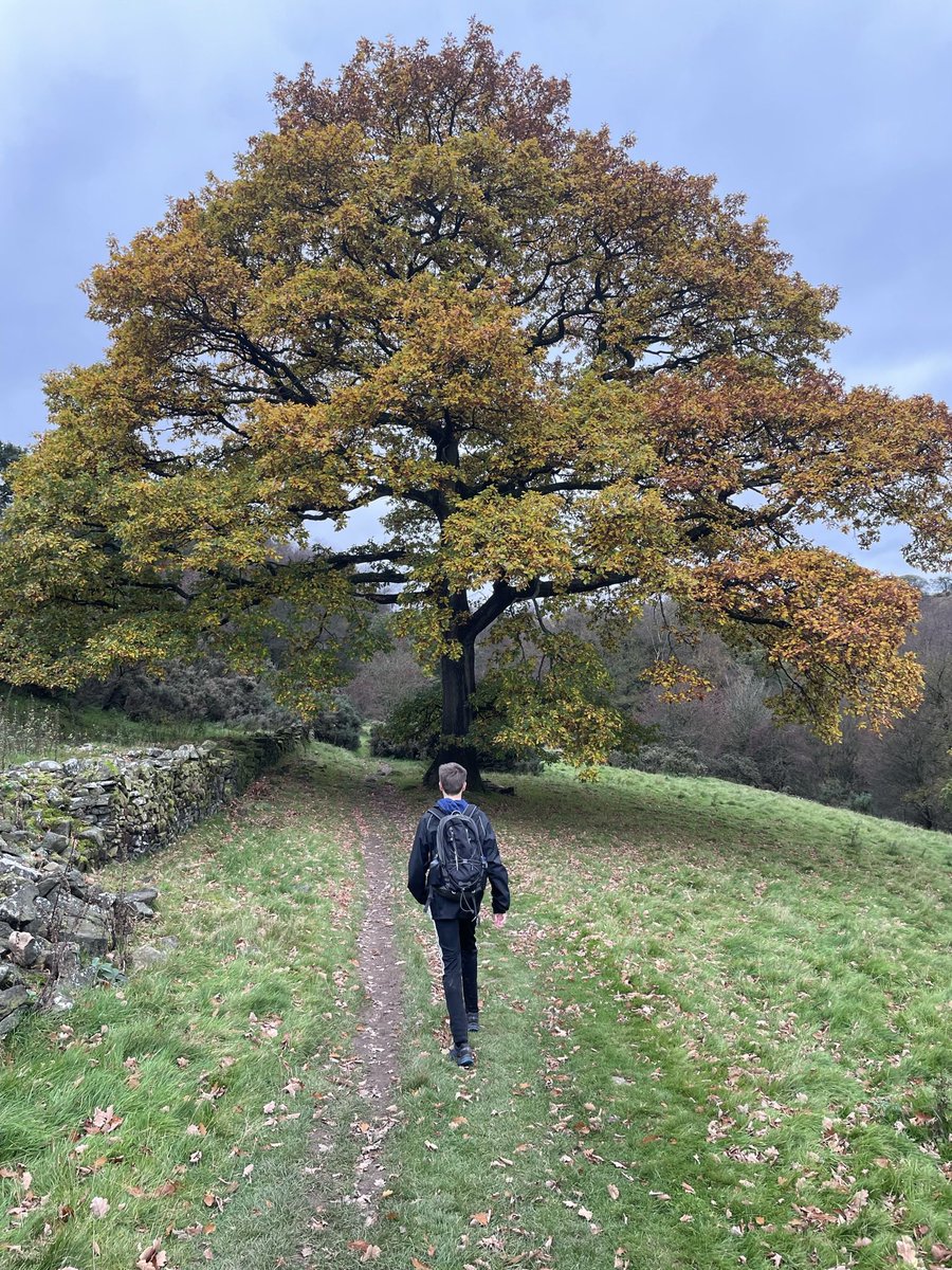 garnerweb's tweet photo. Half term Peak District adventures with the lad #peakdistrict #alrightlad https://t.co/WxDI4oPPQQ