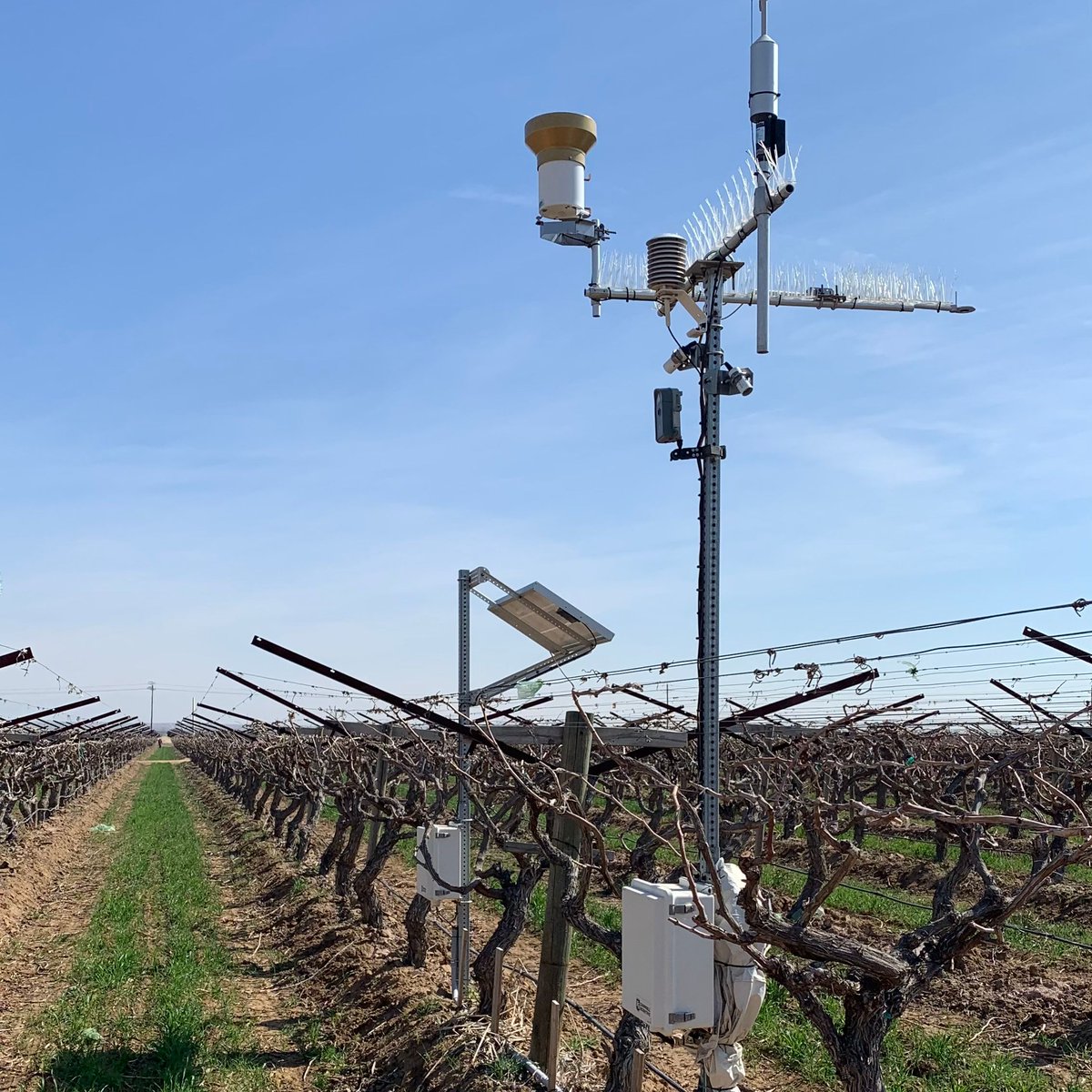 California Farm Bureau tweet media