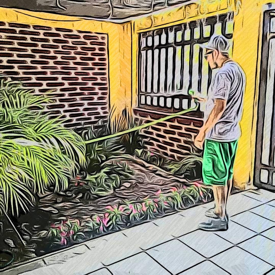 JasbHustle's tweet photo. #Jardin!🌺🍀 https://t.co/Sxx0SrnKGb