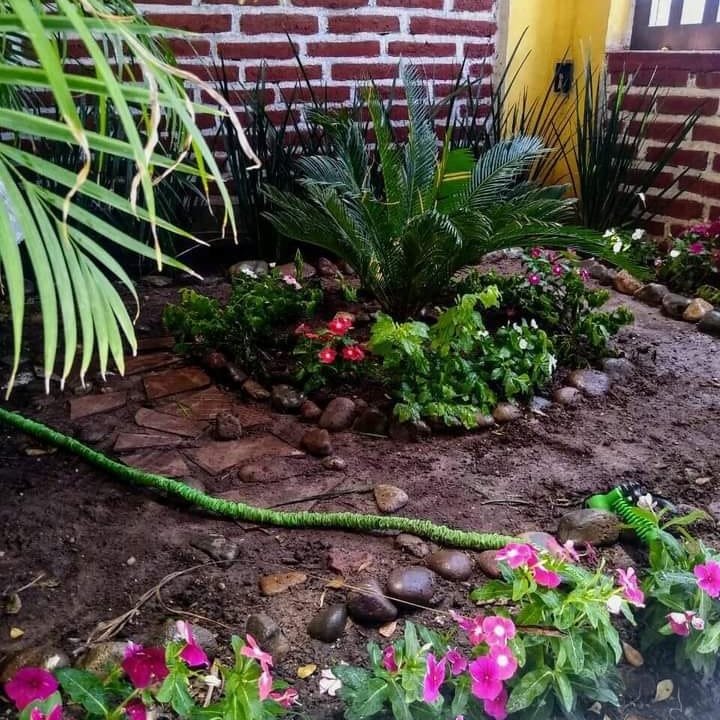 JasbHustle's tweet photo. #Jardin!🌺🍀 https://t.co/Sxx0SrnKGb