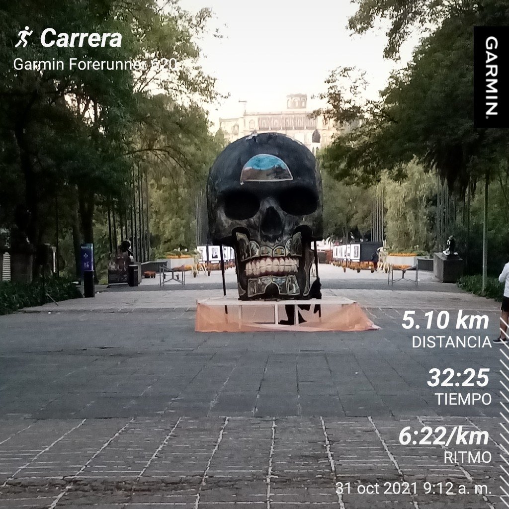 CsarEfrain's tweet photo. Entrenó con el equipo #asicstrainingprogram #asicsMéxico #Runkeeper #garminconnect #Templorunner #YoElegiCorrer #manicomiorunner 🤪 #Sumandokms #Entrerunners #ComuninRunners https://t.co/EldgefpSrB