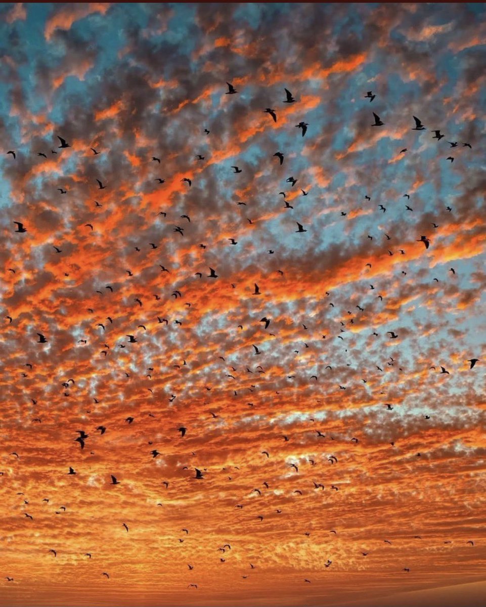 اهبدو اخر صورة عندكم في الاستديو