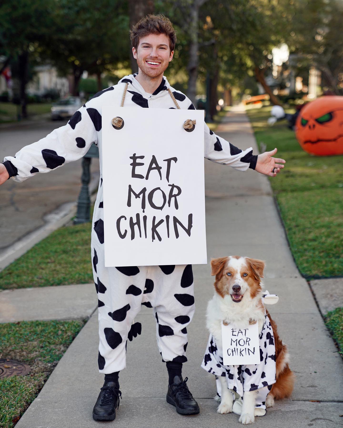 Chick fil a cow halloween costume hotsell