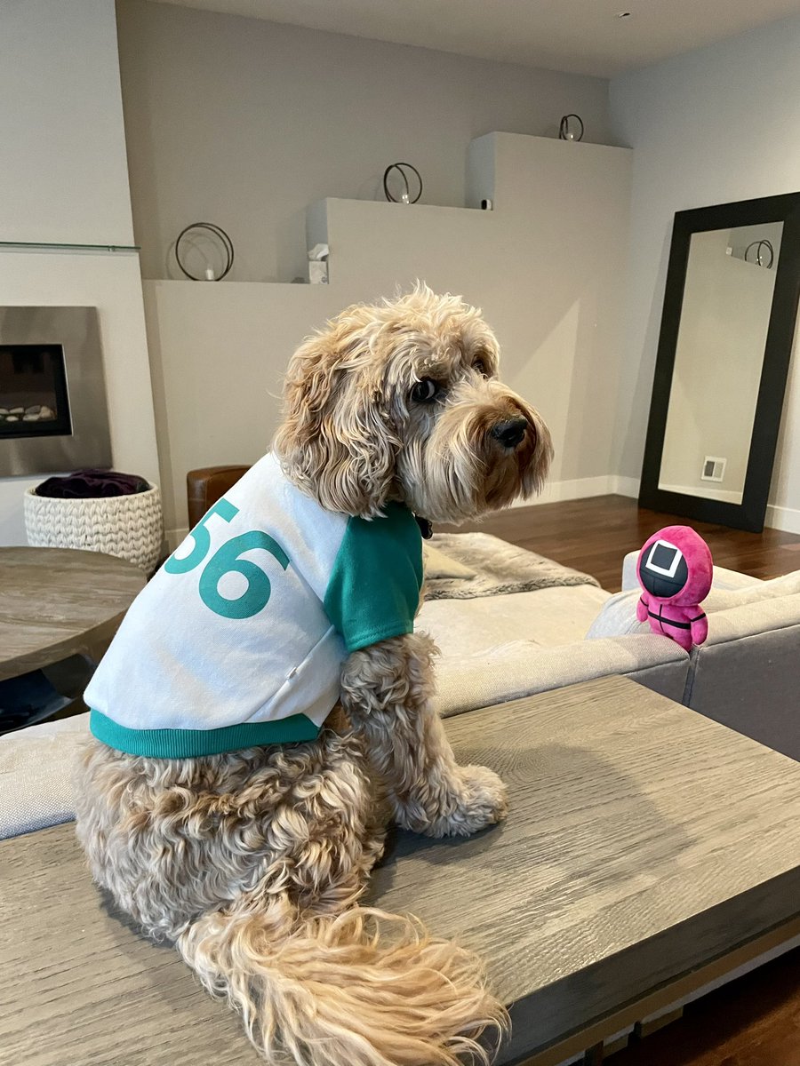 HelloPixelPup's tweet image. A player who refuses to play will be eliminated. 

#squidgame #player456 #gihun #iwin #happyhalloween2021 #hellopixelpup