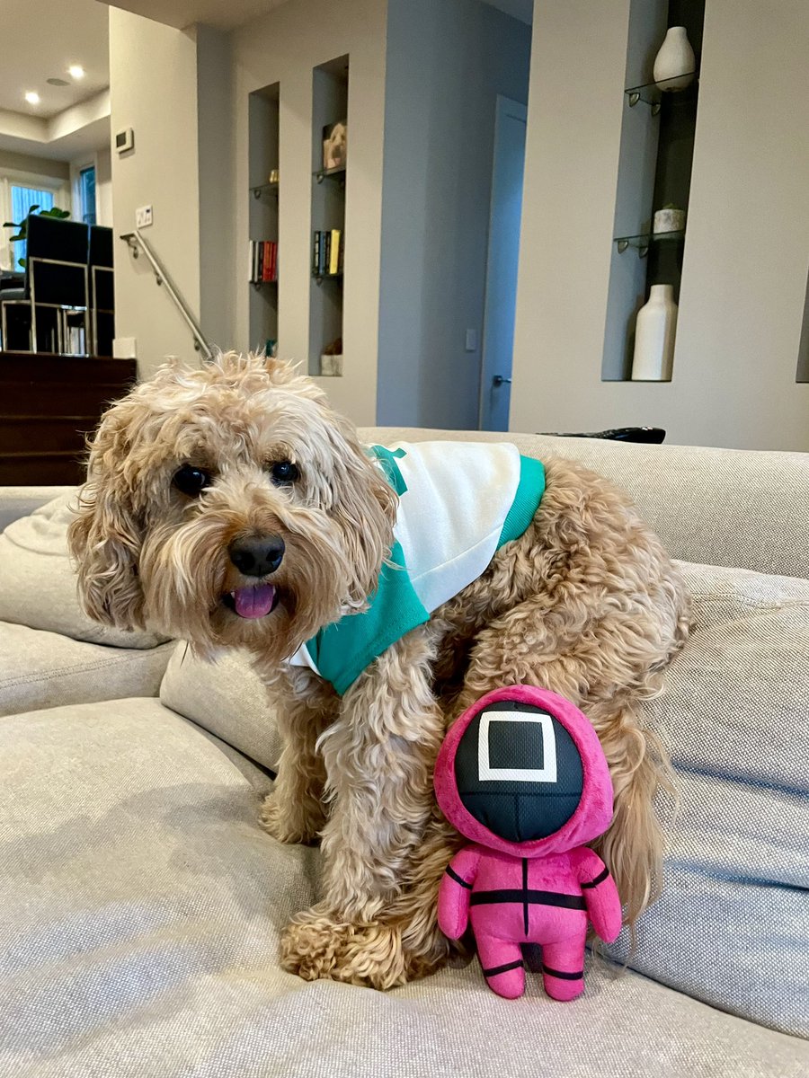 HelloPixelPup's tweet image. A player who refuses to play will be eliminated. 

#squidgame #player456 #gihun #iwin #happyhalloween2021 #hellopixelpup