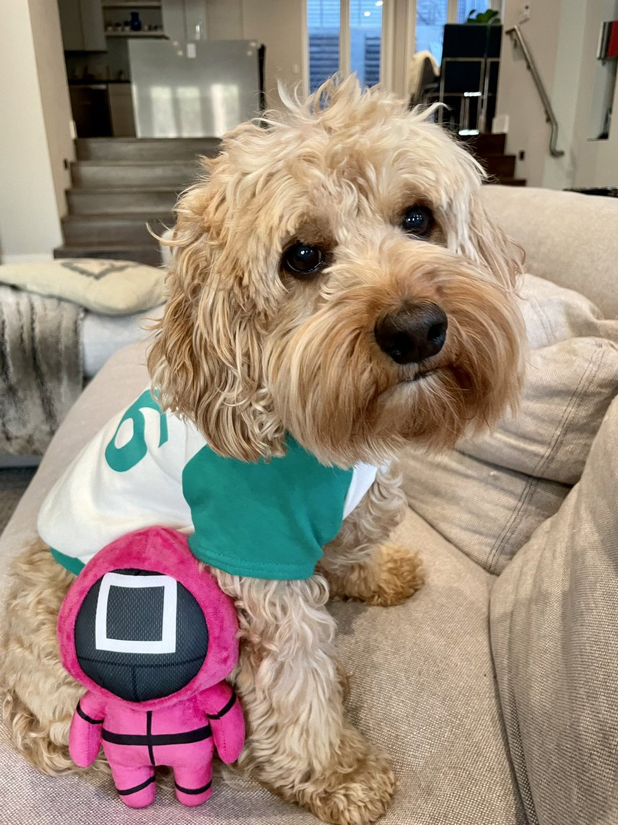 HelloPixelPup's tweet image. A player who refuses to play will be eliminated. 

#squidgame #player456 #gihun #iwin #happyhalloween2021 #hellopixelpup