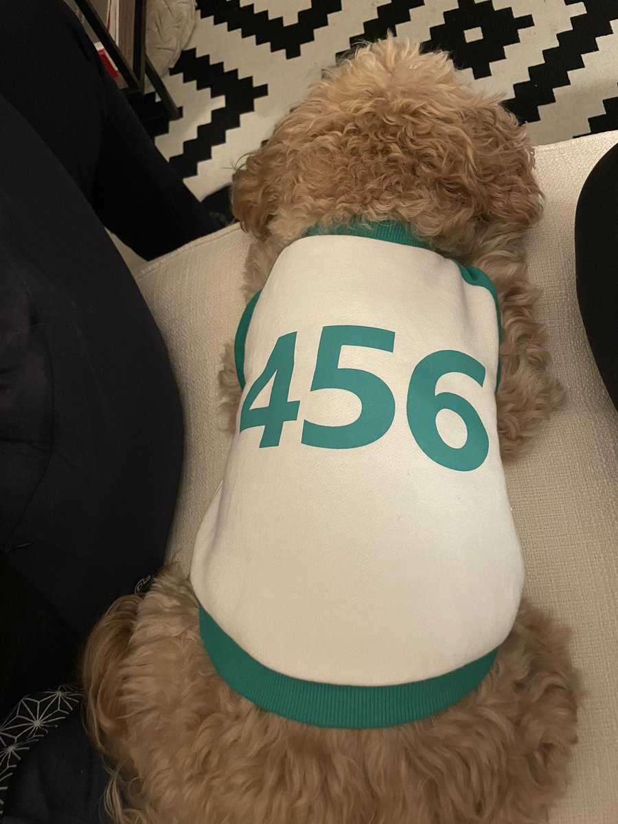 HelloPixelPup's tweet image. A player who refuses to play will be eliminated. 

#squidgame #player456 #gihun #iwin #happyhalloween2021 #hellopixelpup